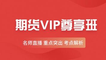 金融 期货VIP尊享班 智盛