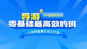 导游VIP尊享班-冰